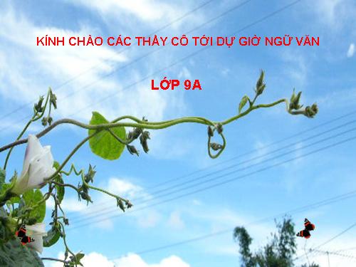 Bài 11. Bếp lửa