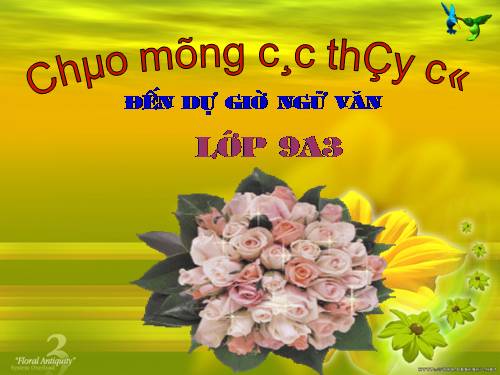 Bài 11. Tổng kết về từ vựng (Từ tượng thanh, tượng hình, một số phép tu từ từ vựng)