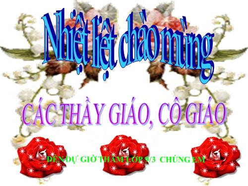 Bài 9. Tổng kết về từ vựng (Từ đơn, từ phức,... từ nhiều nghĩa; Từ đồng âm,... trường từ vựng)