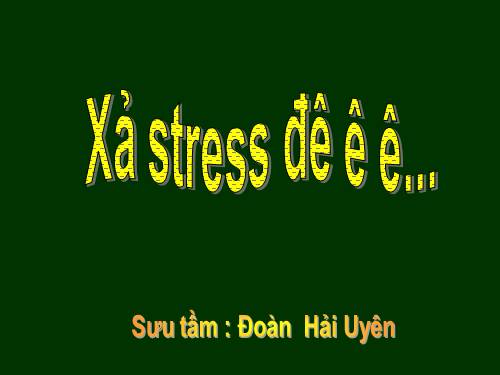 XẢ STRESS ĐÊ ...