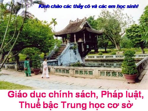 gáo dục chính sách pháp luật thuế