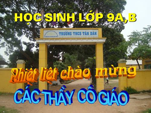 Bài 11. Tổng kết về từ vựng (Từ tượng thanh, tượng hình, một số phép tu từ từ vựng)