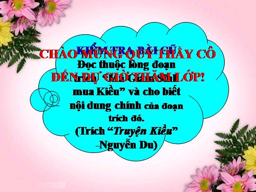 Bài 8. Lục Vân Tiên cứu Kiều Nguyệt Nga