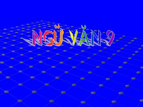 Bài 9. Tổng kết về từ vựng (Từ đơn, từ phức,... từ nhiều nghĩa; Từ đồng âm,... trường từ vựng)