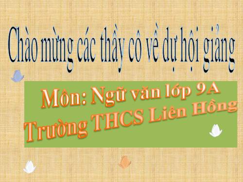 Bài 11. Tổng kết về từ vựng (Từ tượng thanh, tượng hình, một số phép tu từ từ vựng)