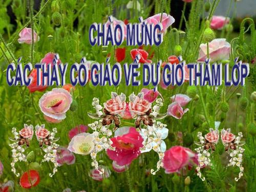 Bài 10. Bài thơ về tiểu đội xe không kính