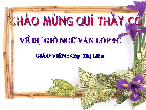 Bài 6. Cảnh ngày xuân