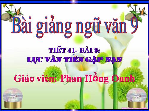 Bài 9. Lục Vân Tiên gặp nạn