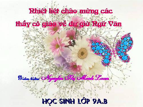 Bài 9. Tổng kết về từ vựng (Từ đơn, từ phức,... từ nhiều nghĩa; Từ đồng âm,... trường từ vựng)