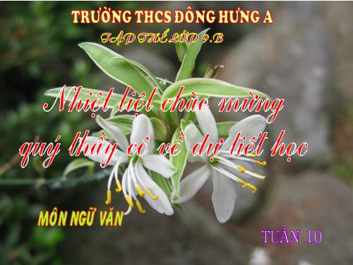 Bài 10. Bài thơ về tiểu đội xe không kính