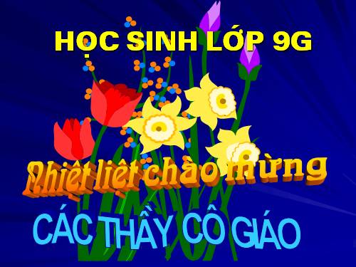 Bài 14. Ôn tập phần Tiếng Việt (Các phương châm hội thoại)