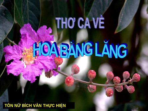 BAI THO VE HOA BANG LANG