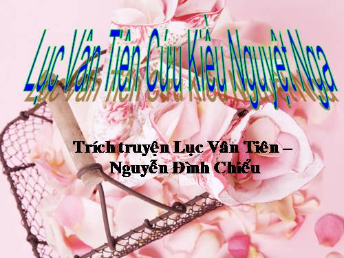 Bài 8. Lục Vân Tiên cứu Kiều Nguyệt Nga