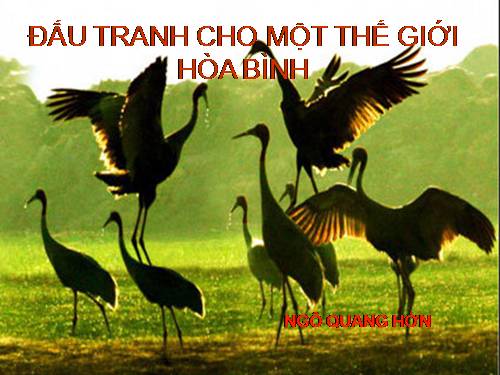 Bài 2. Đấu tranh cho một thế giới hoà bình