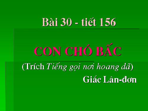 Bài 31. Con chó Bấc