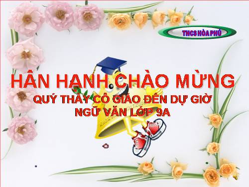 Bài 9. Tổng kết về từ vựng (Từ đơn, từ phức,... từ nhiều nghĩa; Từ đồng âm,... trường từ vựng)