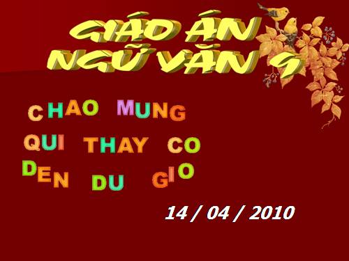 Bài 31. Luyện tập viết hợp đồng