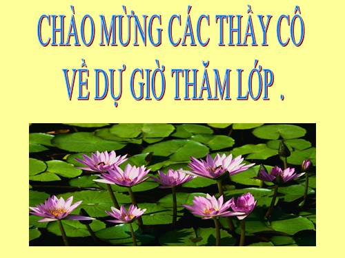 Bài 14. Ôn tập phần Tiếng Việt (Các phương châm hội thoại)