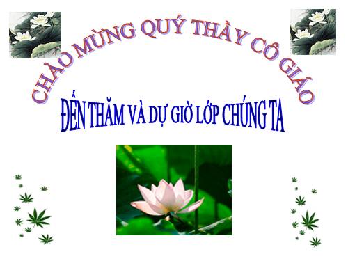 Bài 23. Viếng lăng Bác