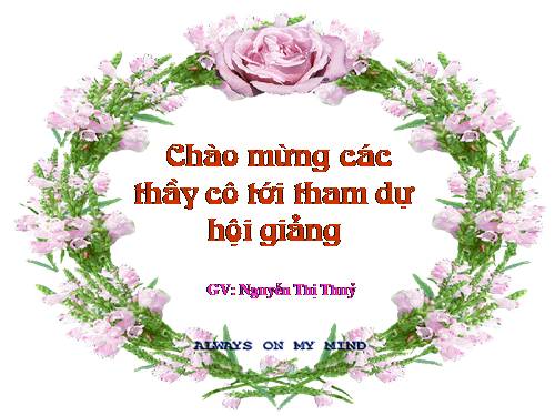 Bài 15. Chiếc lược ngà