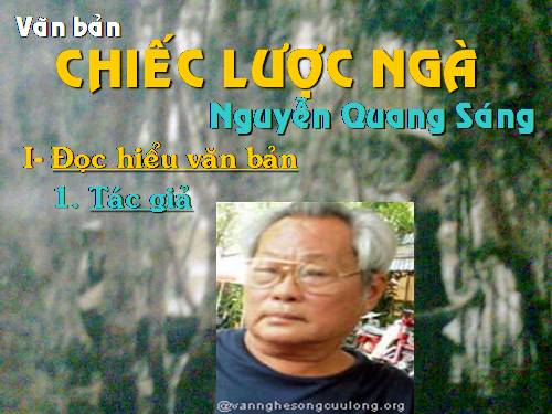 Bài 15. Chiếc lược ngà