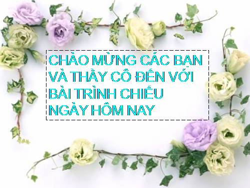 bài trình chiếu