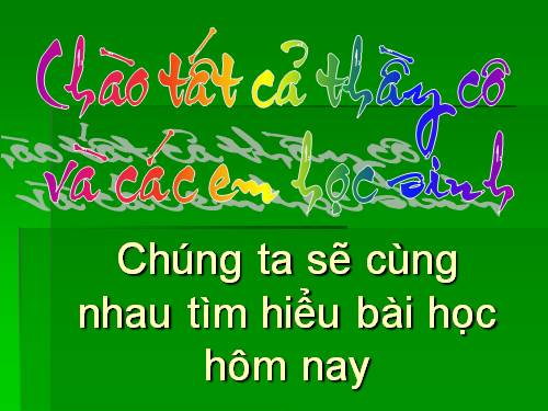 Bài 13. Chương trình địa phương (phần Tiếng Việt)