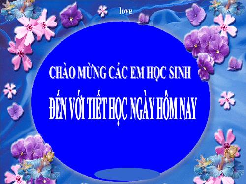 Bài 13. Chương trình địa phương (phần Tiếng Việt)