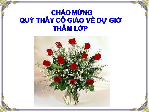 Bài 20. Các thành phần biệt lập (tiếp theo)