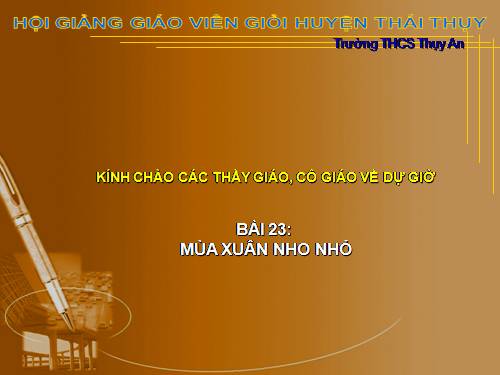 Bài 23. Mùa xuân nho nhỏ