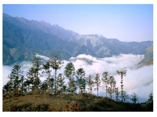 Bài 14. Lặng lẽ Sa Pa