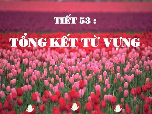 Bài 11. Tổng kết về từ vựng (Từ tượng thanh, tượng hình, một số phép tu từ từ vựng)