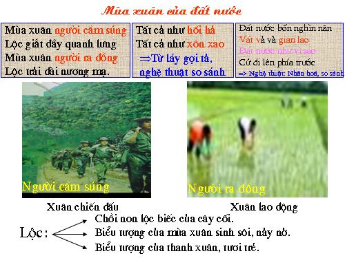 Bài 23. Mùa xuân nho nhỏ