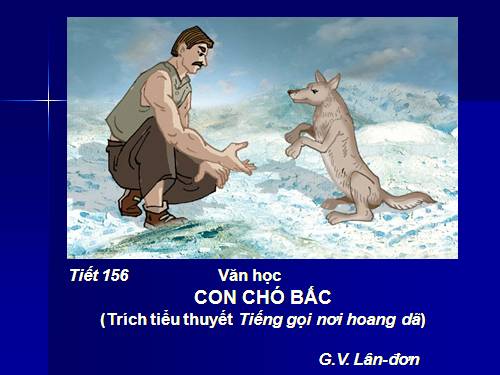 Bài 31. Con chó Bấc