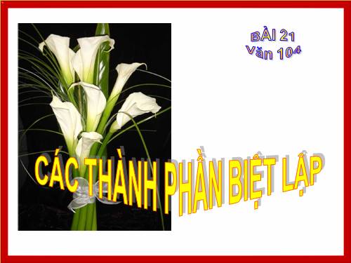 Bài 19. Các thành phần biệt lập