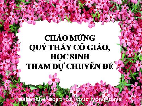 Bài 15. Chiếc lược ngà