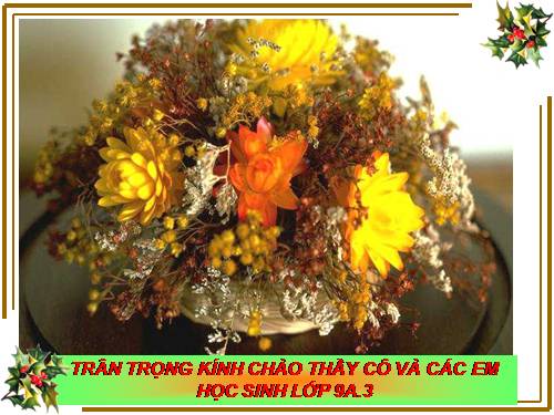 Bài 10. Bài thơ về tiểu đội xe không kính