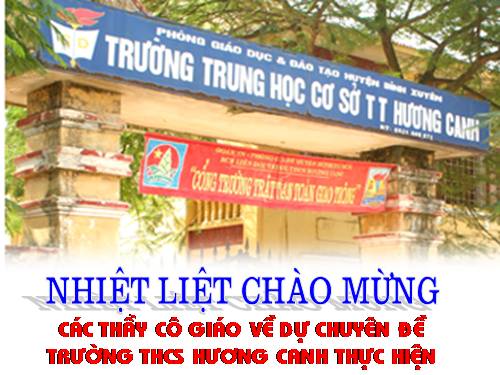 Tiết dạy minh họa cho chuyên đề: nghệ thuật miêu tả trong Truyện Kiều