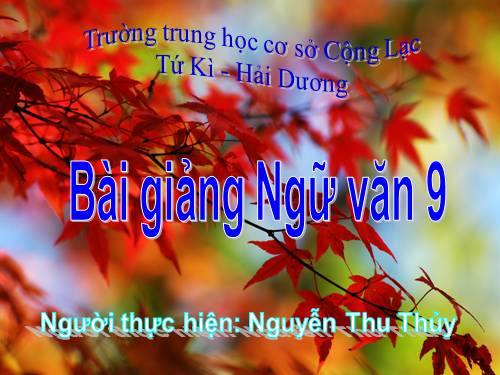 Bài 29. Rô-bin-xơn ngoài đảo hoang