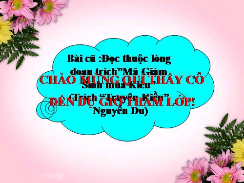 Bài 8. Lục Vân Tiên cứu Kiều Nguyệt Nga