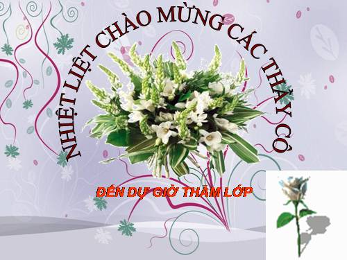 Bài 11. Tổng kết về từ vựng (Từ tượng thanh, tượng hình, một số phép tu từ từ vựng)