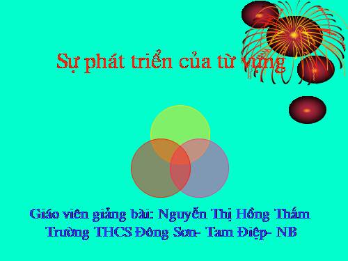 Bài 4. Sự phát triển của từ vựng