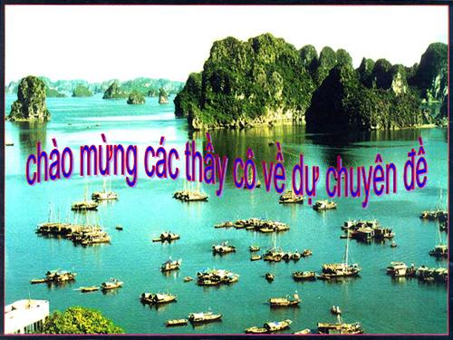 Bài 11. Đoàn thuyền đánh cá