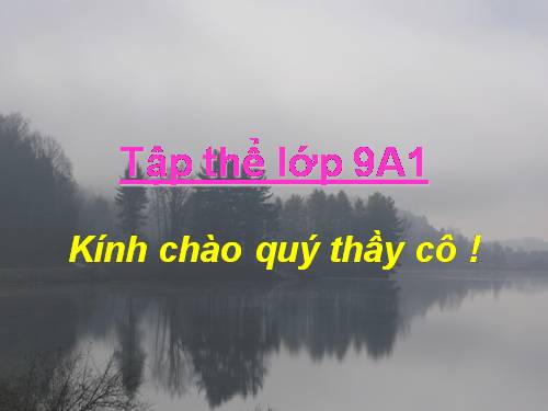 Bài 11. Tổng kết về từ vựng (Từ tượng thanh, tượng hình, một số phép tu từ từ vựng)