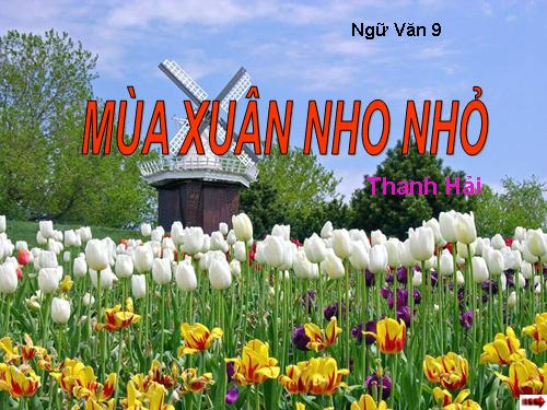 Bài 23. Mùa xuân nho nhỏ