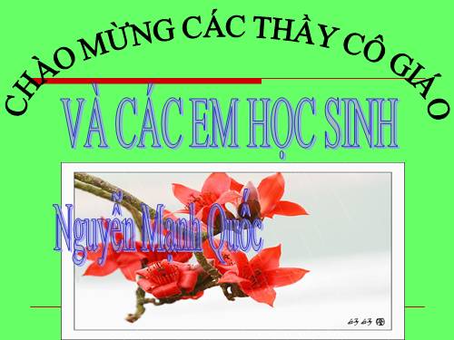 Bài 8. Lục Vân Tiên cứu Kiều Nguyệt Nga