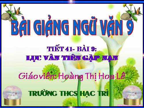 Bài 9. Lục Vân Tiên gặp nạn