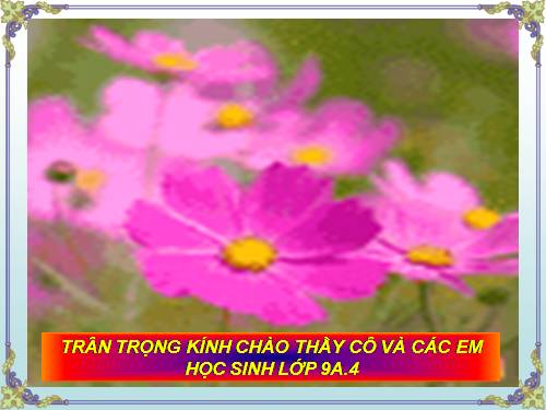 Bài 10. Tổng kết về từ vựng (Sự phát triển của từ vựng,... trau dồi vốn từ)