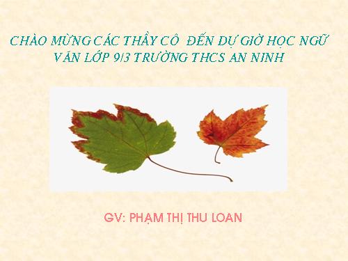 Bài 11. Đoàn thuyền đánh cá