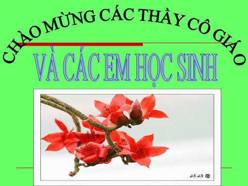 Bài 8. Lục Vân Tiên cứu Kiều Nguyệt Nga